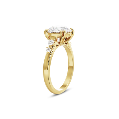 2 CT Sadie