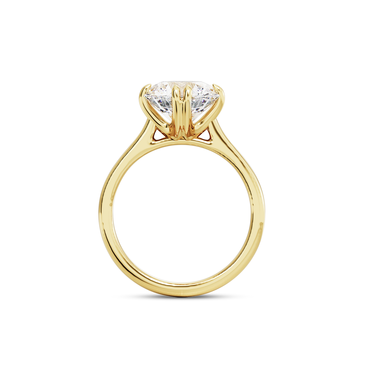 2 CT Vera