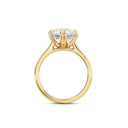 2 CT Vera