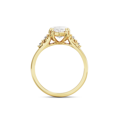 2 CT Sadie