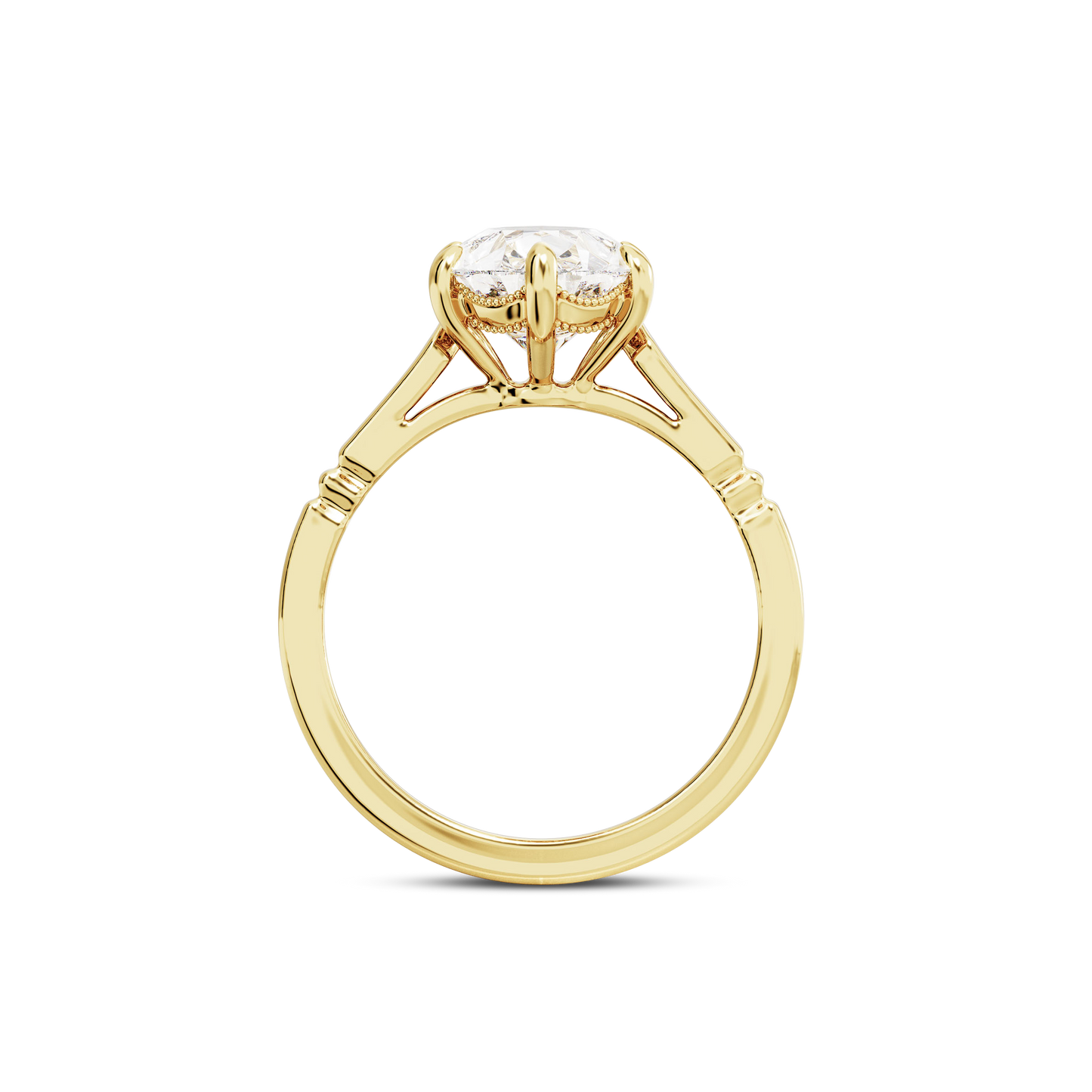 2 CT Iris