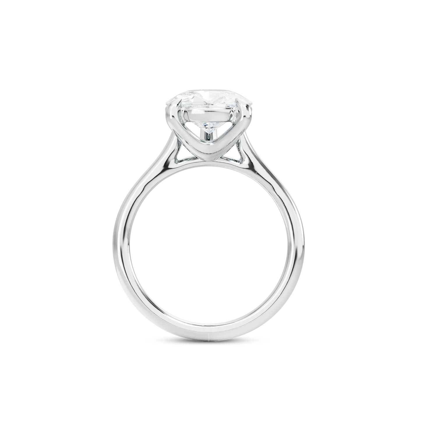 2 CT Vera