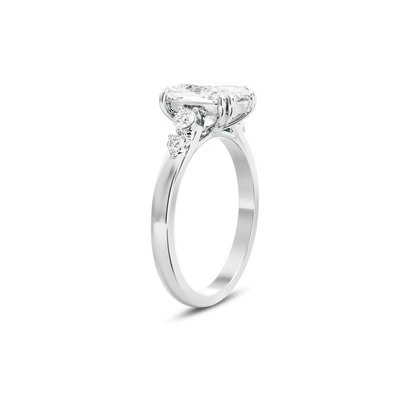 2 CT Sadie