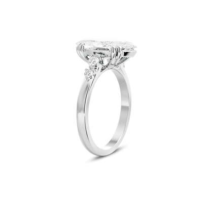2 CT Sadie