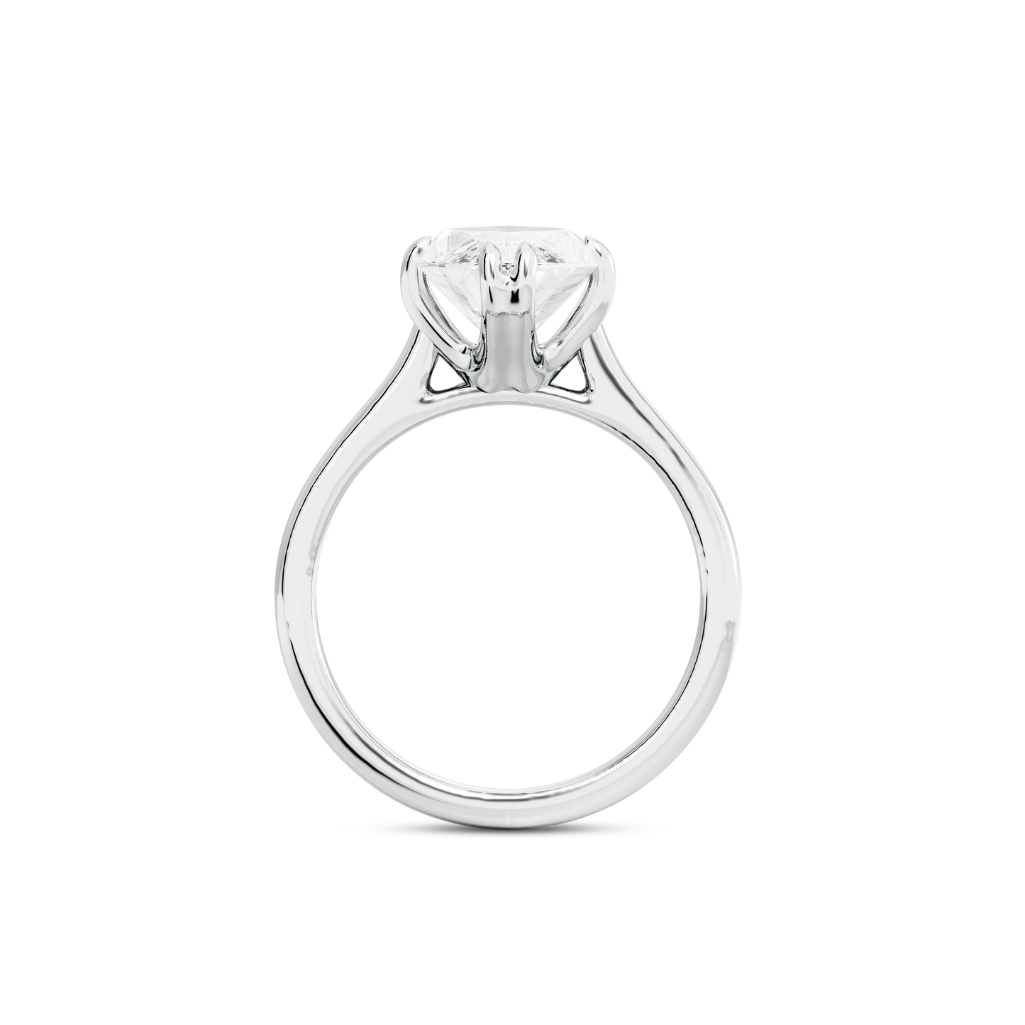 2 CT Vera
