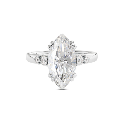 2 CT Sadie