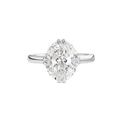 2 CT Vera