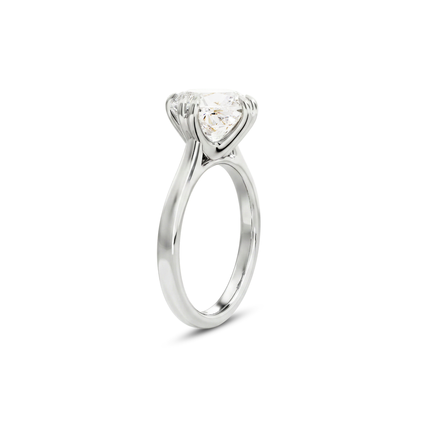 2 CT Vera