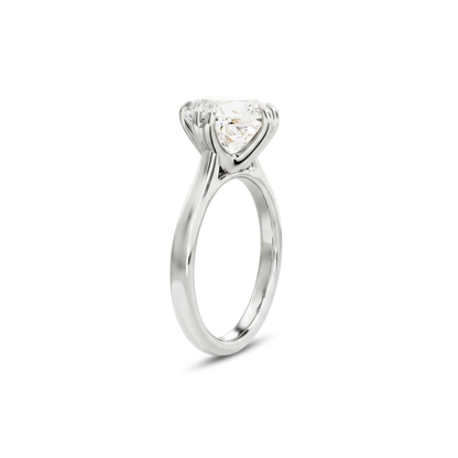2 CT Vera
