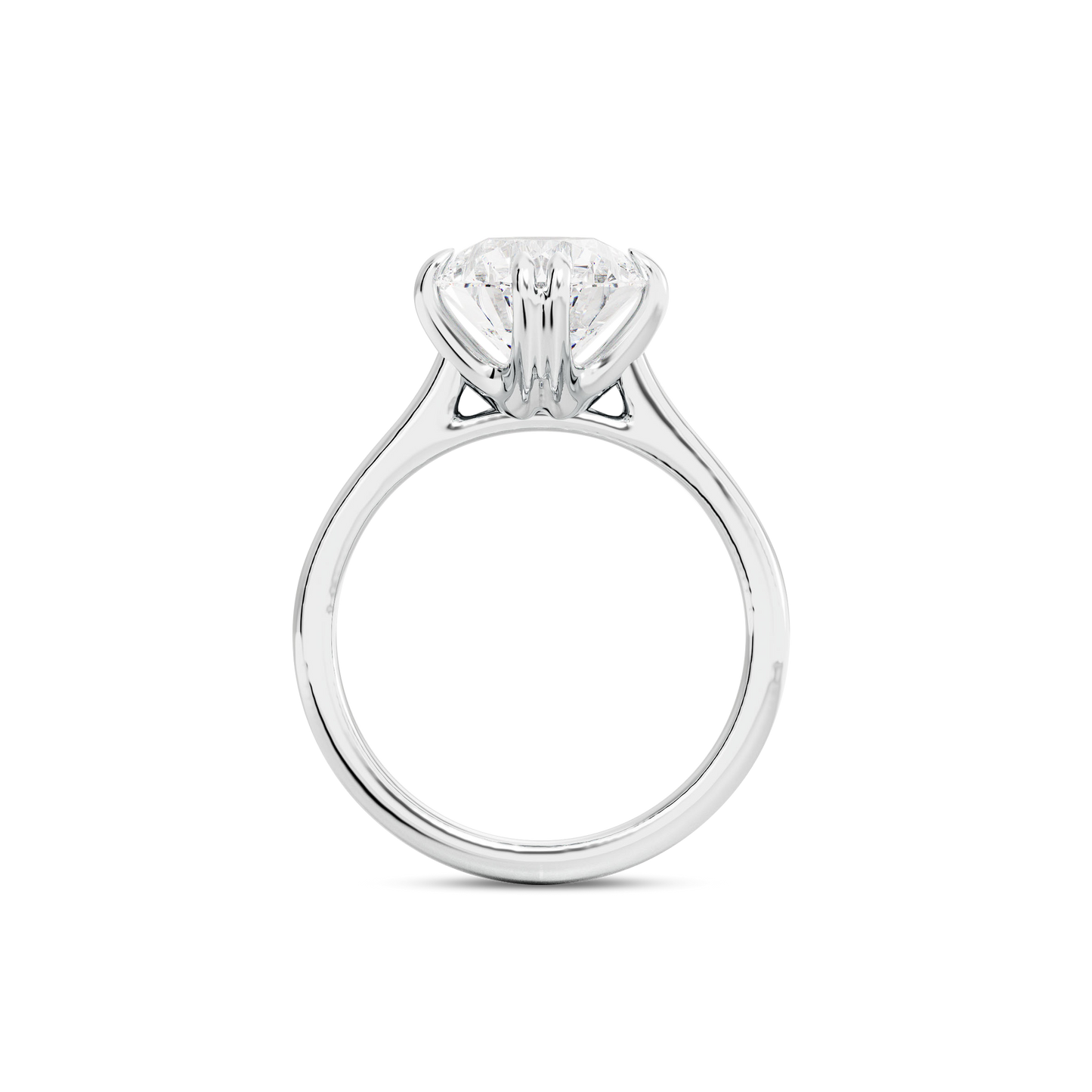 2 CT Vera