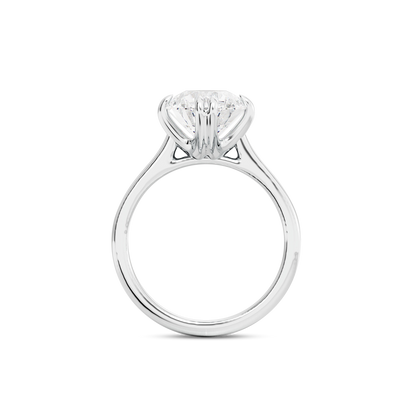 2 CT Vera