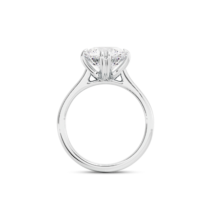 2 CT Vera