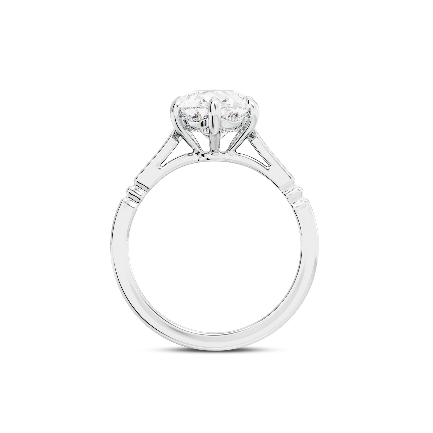 2 CT Iris