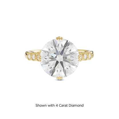 3.5 CT Celeste