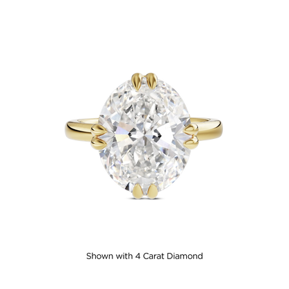 3.5 CT Vera