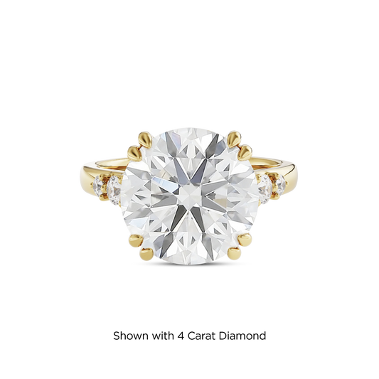 3.5 CT Sadie