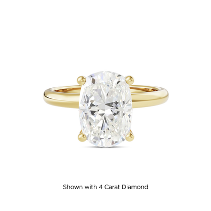 3.5 CT Eliza
