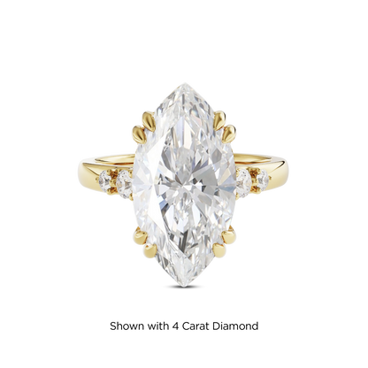 3.5 CT Sadie