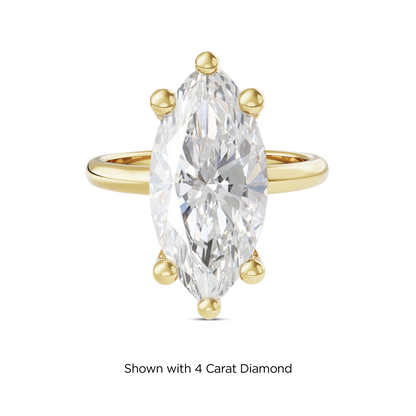 3.5 CT Eliza