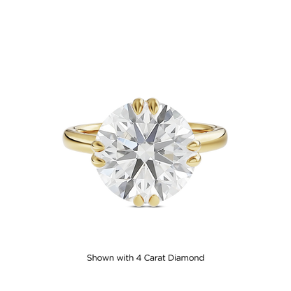 3.5 CT Vera