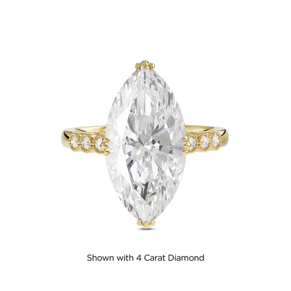3.5 CT Celeste