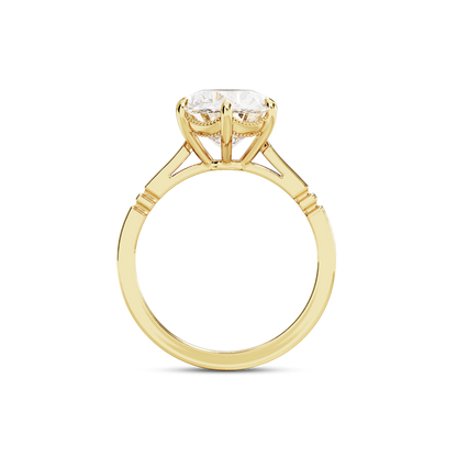 3.5 CT Iris