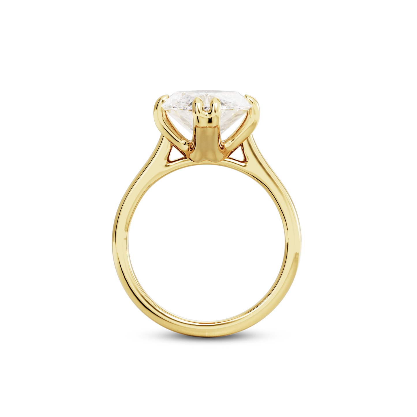 3.5 CT Vera