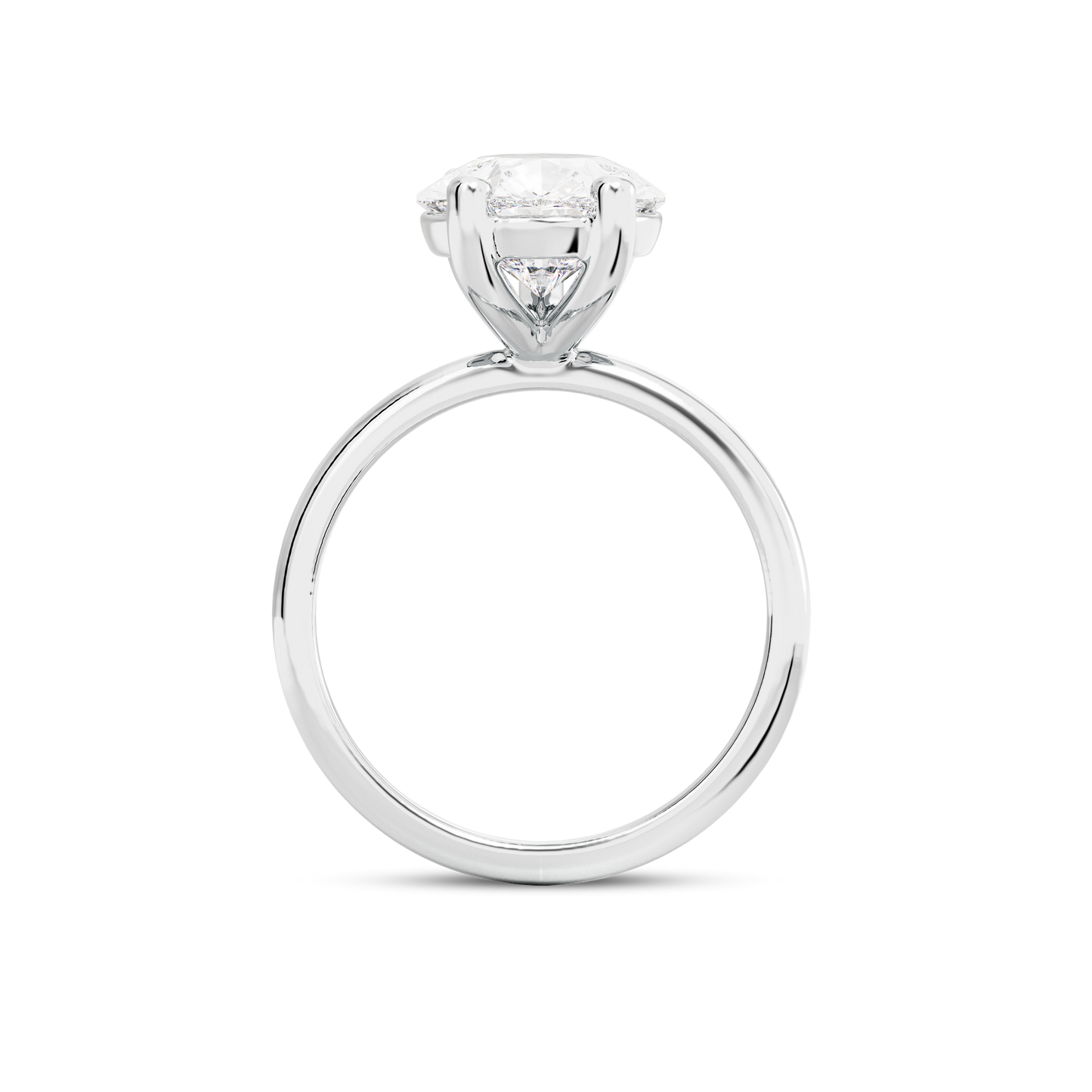 3.5 CT Eliza