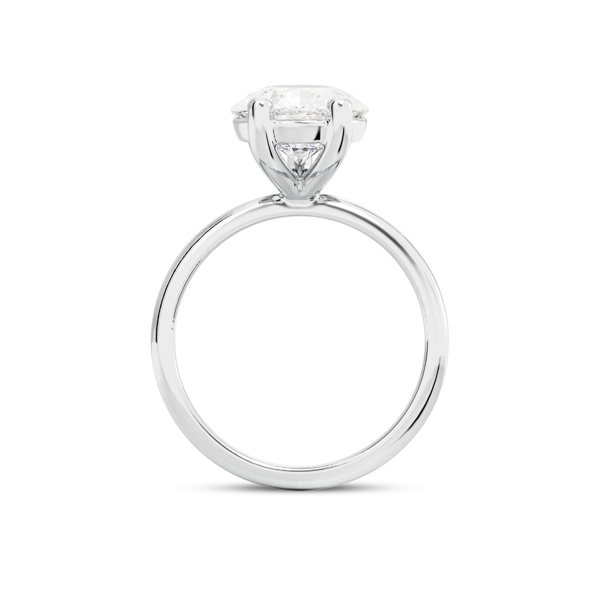 3.5 CT Eliza