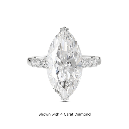 3.5 CT Celeste
