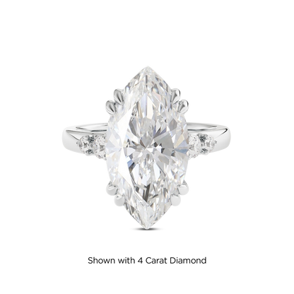 3.5 CT Sadie