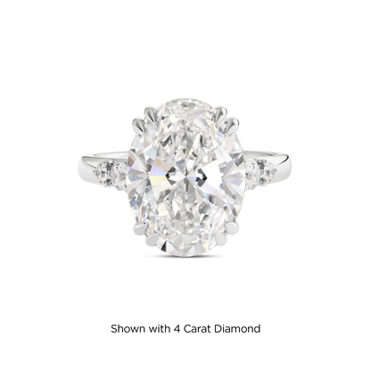 3.5 CT Sadie