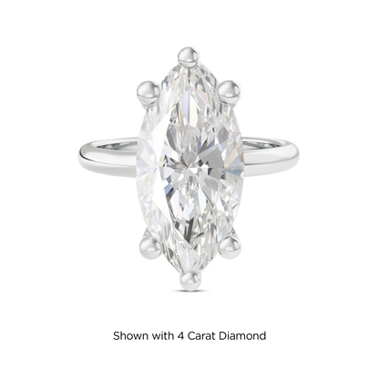 3.5 CT Eliza