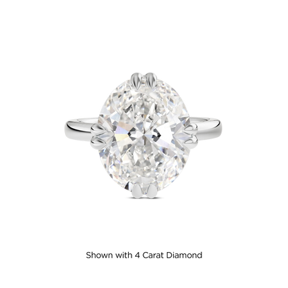 3.5 CT Vera