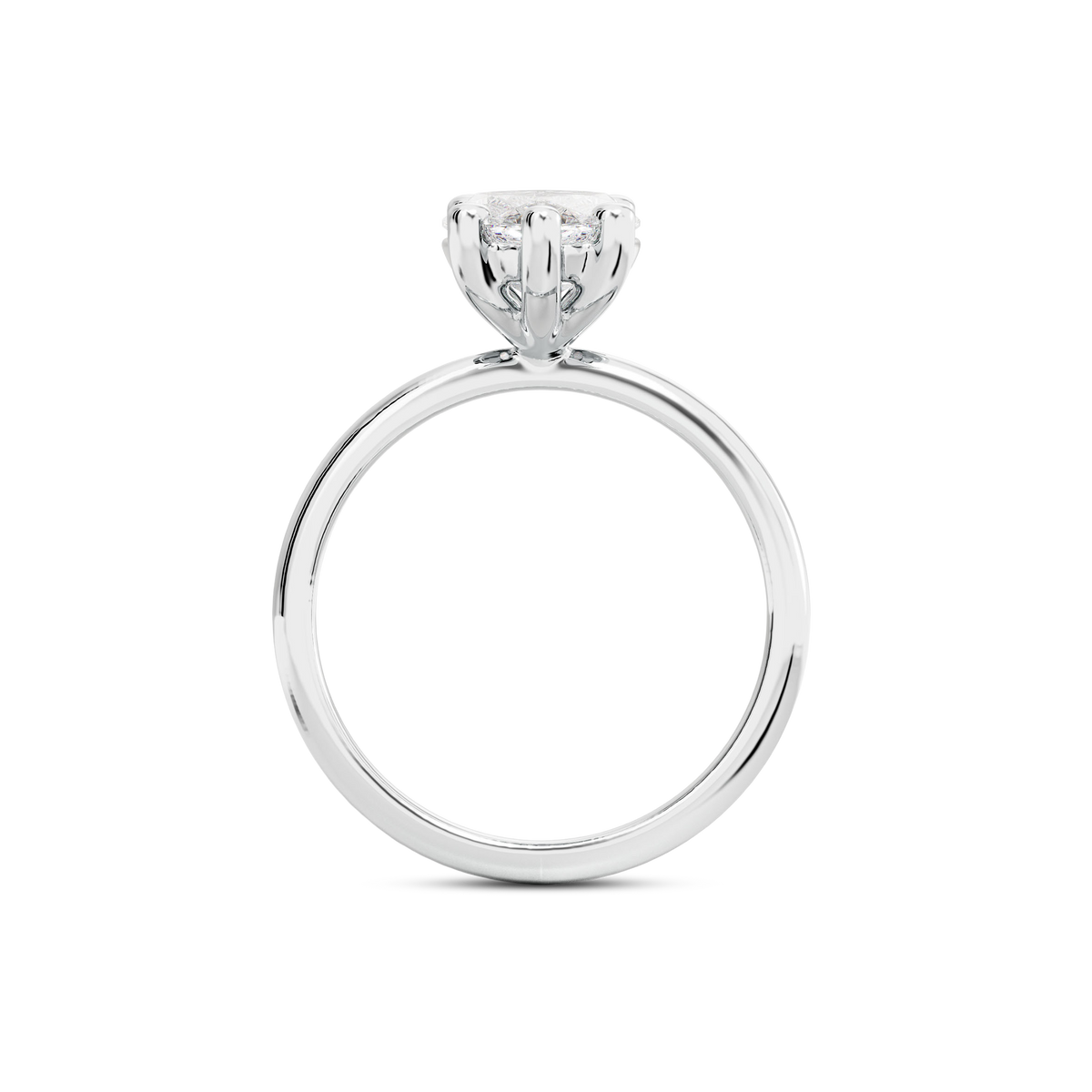 3.5 CT Eliza