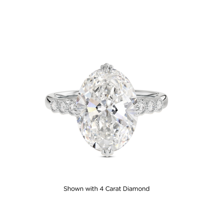 3.5 CT Celeste