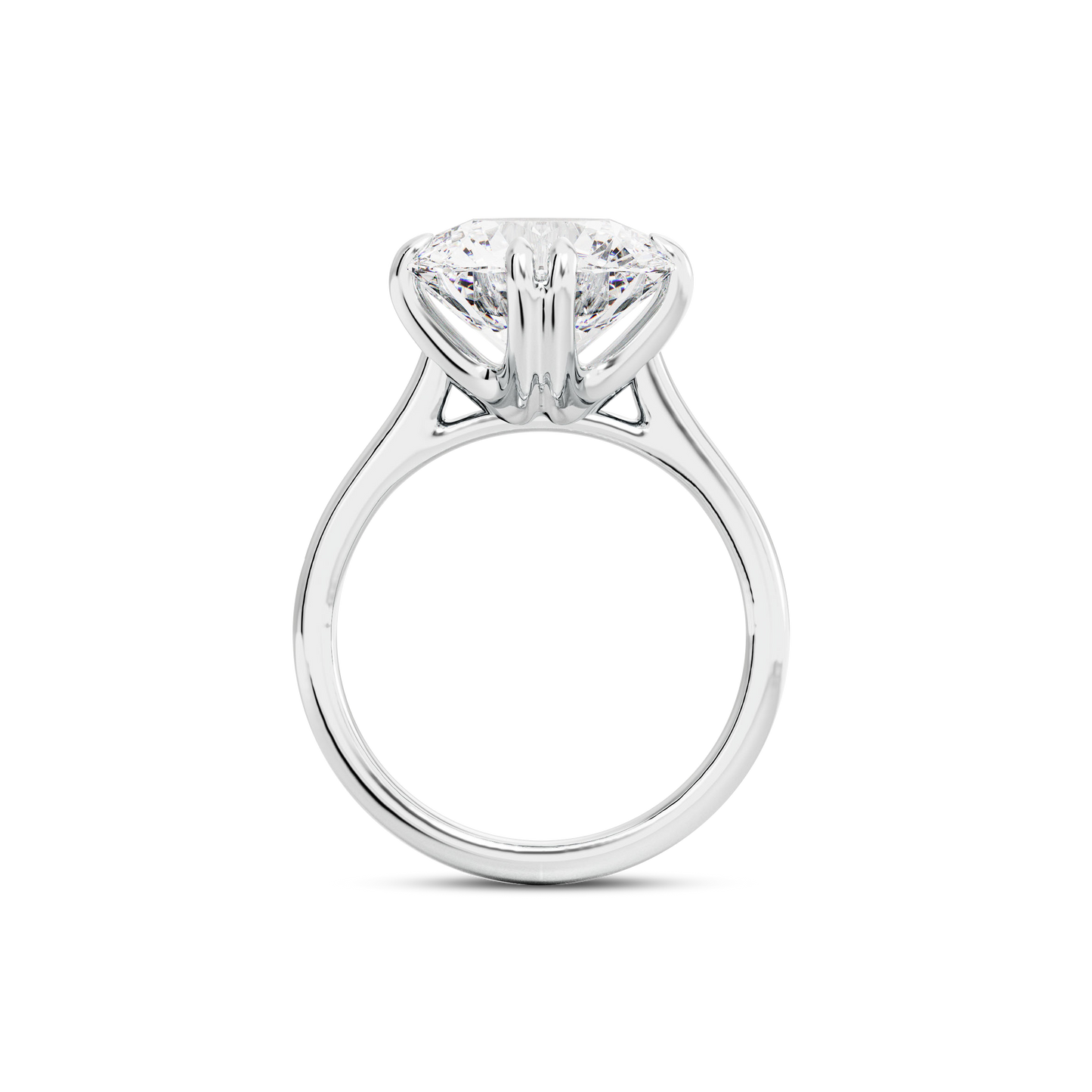 3.5 CT Vera