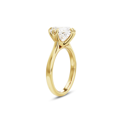 3 CT Vera