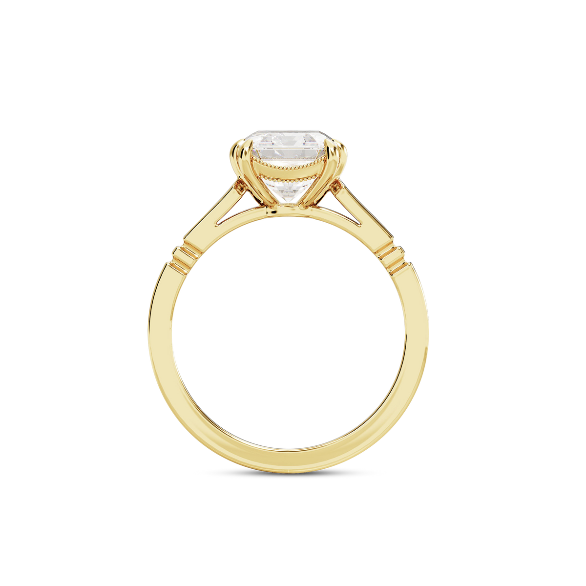 3 CT Iris