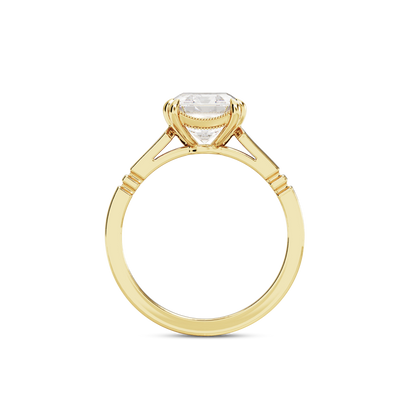 3 CT Iris