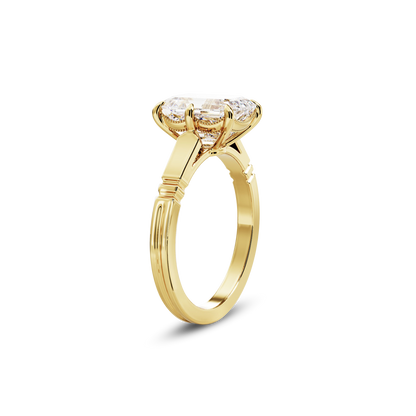3 CT Iris