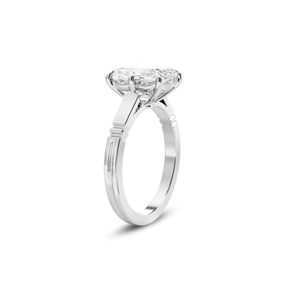 3 CT Iris