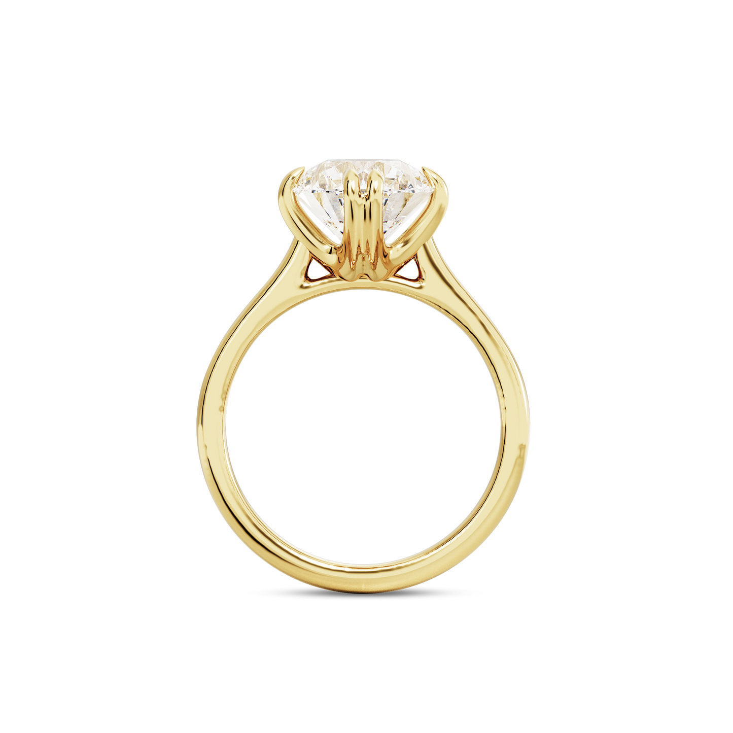 3 CT Vera