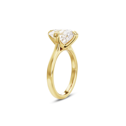 3 CT Vera