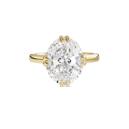 3 CT Vera