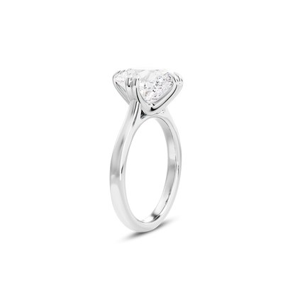 3 CT Vera