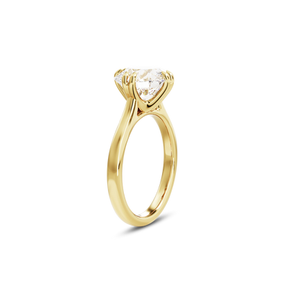 3 CT Vera