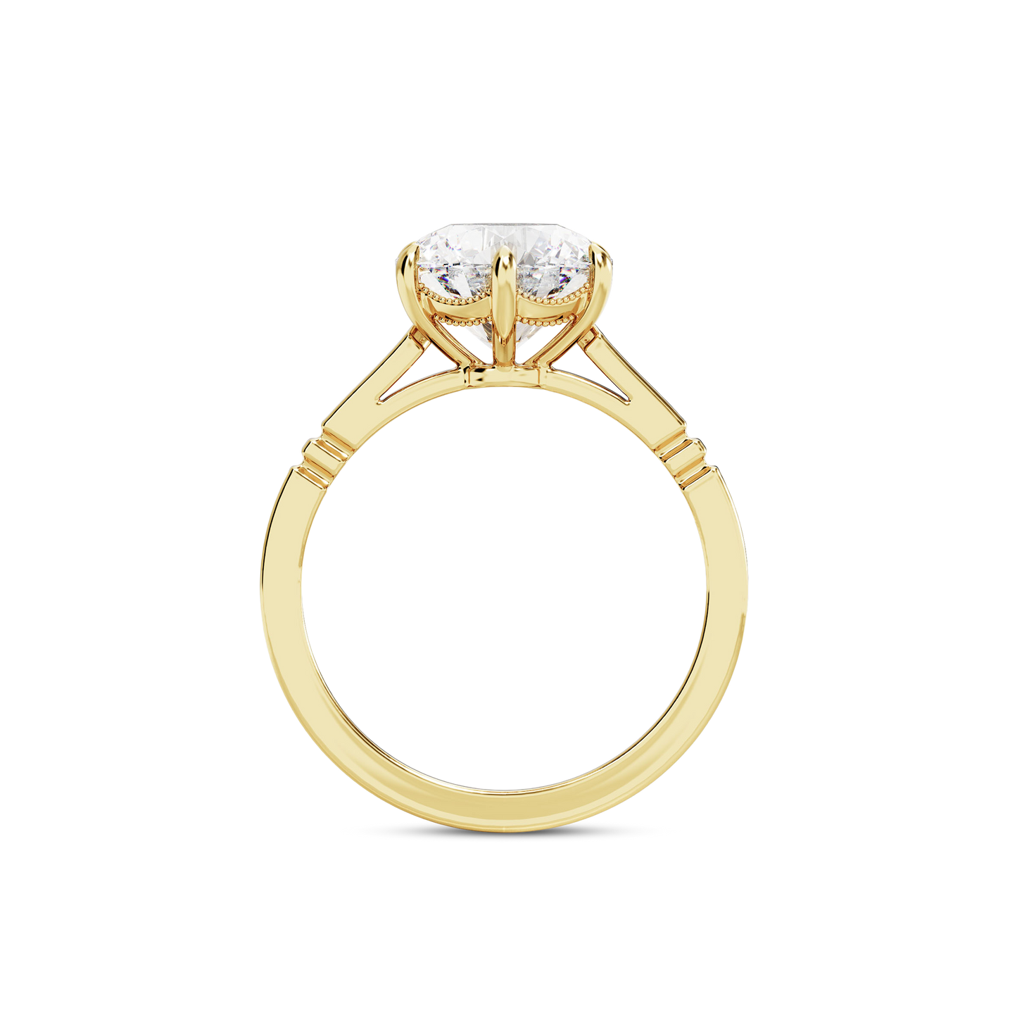 3 CT Iris