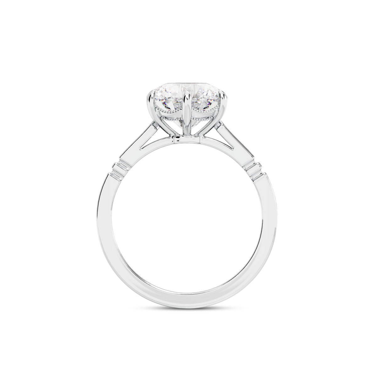 3 CT Iris