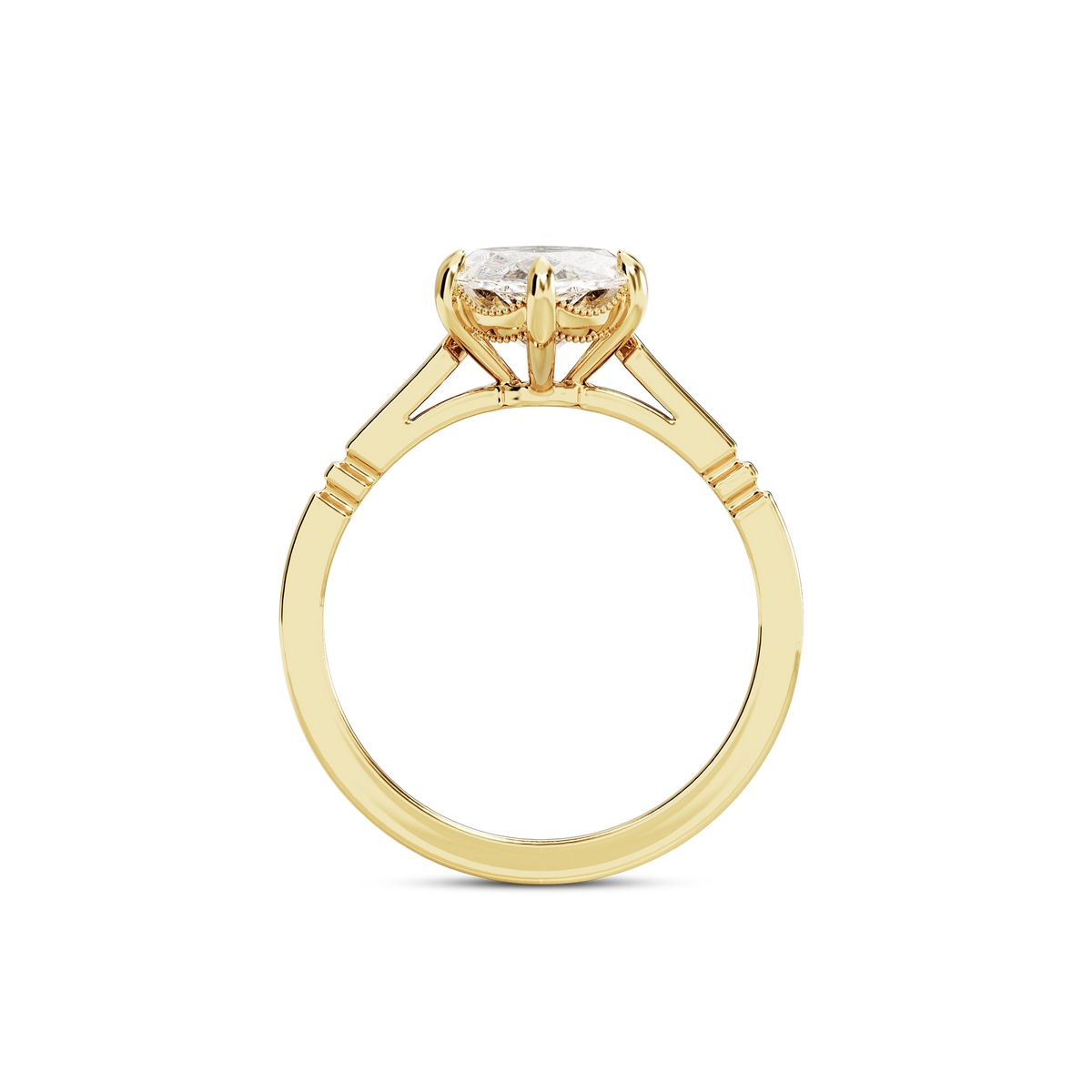 3 CT Iris